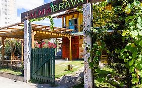 Alma Brava